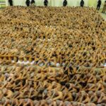 La razón por la que EEUU pidió a Nayib Bukele respetar los derechos humanos en El Salvador