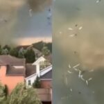 Un potente tornado arrasó con una iglesia y otras propiedades en Pennsylvania (EEUU), como consecuencia de la serie de tormentas que azotaron
