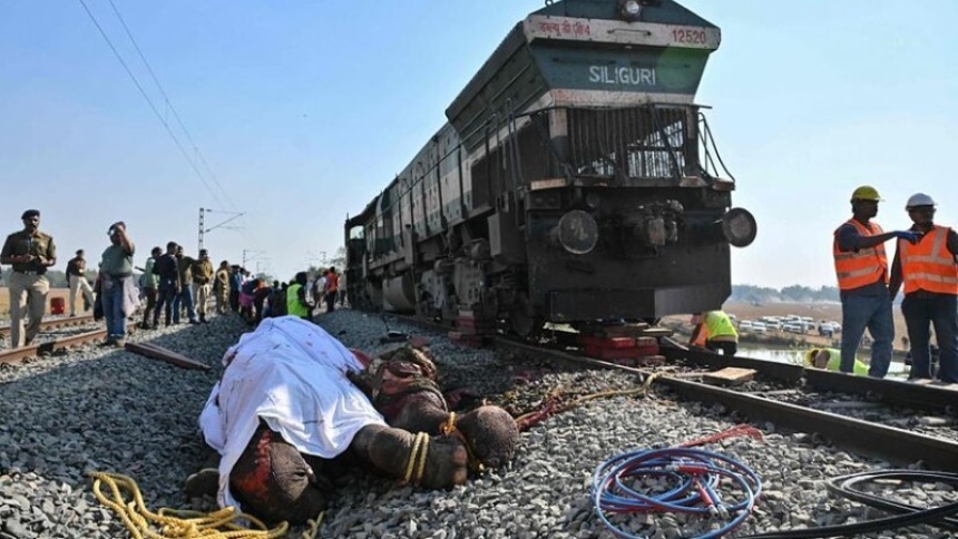 Siete elefantes mueren y uno resulta herido al chocar un tren con una manada en la India