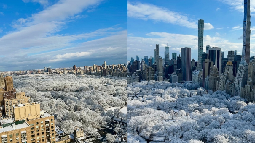 Nueva York amaneció irreconocible tras una de las nevadas más intensas de los últimos años, un fenómeno que transformó por completo la apariencia de Central Park y dejó imágenes que rápidamente se volvieron virales en las redes sociales.  