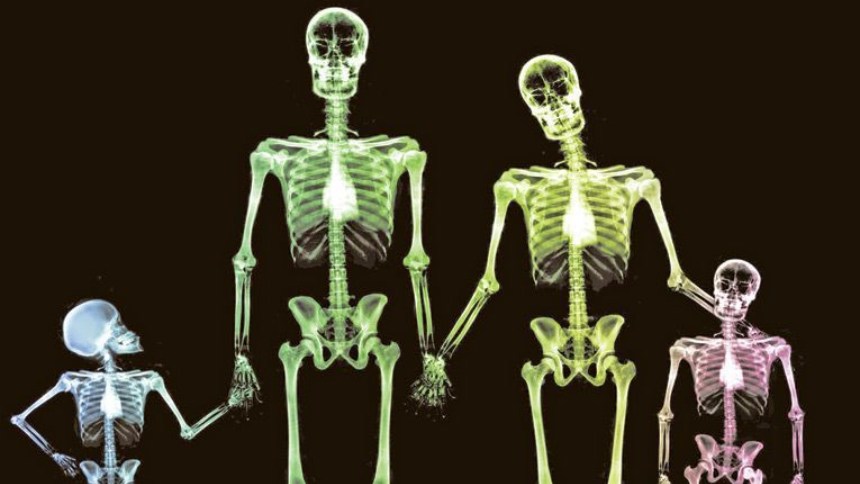 Estudio revela cómo podrían afectar el desarrollo óseo de niños y adolescentes los químicos presentes en productos cotidianos