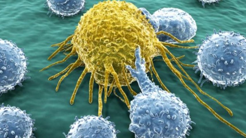 Popular antioxidante podría nutrir células cancerosas y acelerar los tumores, según estudio