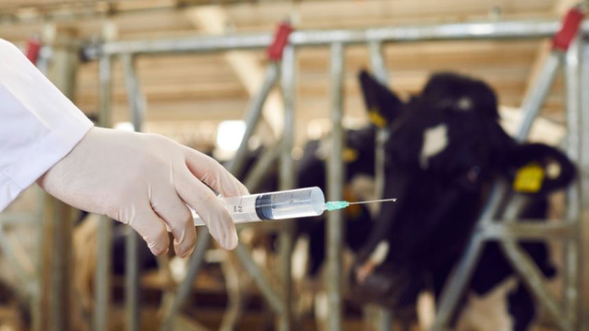 Gobierno y empresa privada buscan certificación del país como territorio libre de fiebre aftosa